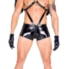 Roma Costume Mens Costumes Dark Angel Costume