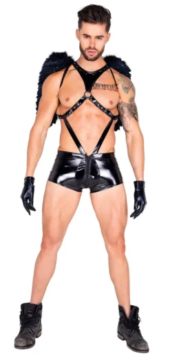 Roma Costume Mens Costumes Dark Angel Costume