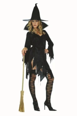 RG Costumes Sexy Velvet Witch With Hat Womens Costumes
