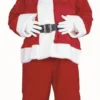 RG Costumes Santa Costume (Velboa) Mens Costumes