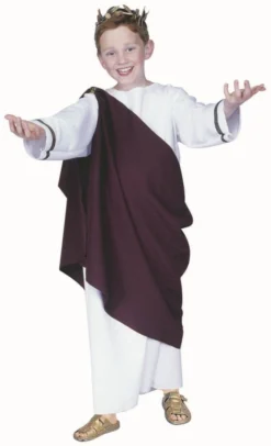 RG Costumes Caesar Toga Costume (Boys)