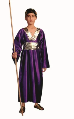 RG Costumes Wiseman Costume Purple (Child)