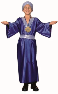 RG Costumes Wiseman Costume Blue (Child)