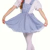 RG Costumes Prairie Girl Dorothy Costume (Child) Girls