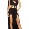 Roma Costume Gorgeous Goddess Costume Womens Costumes